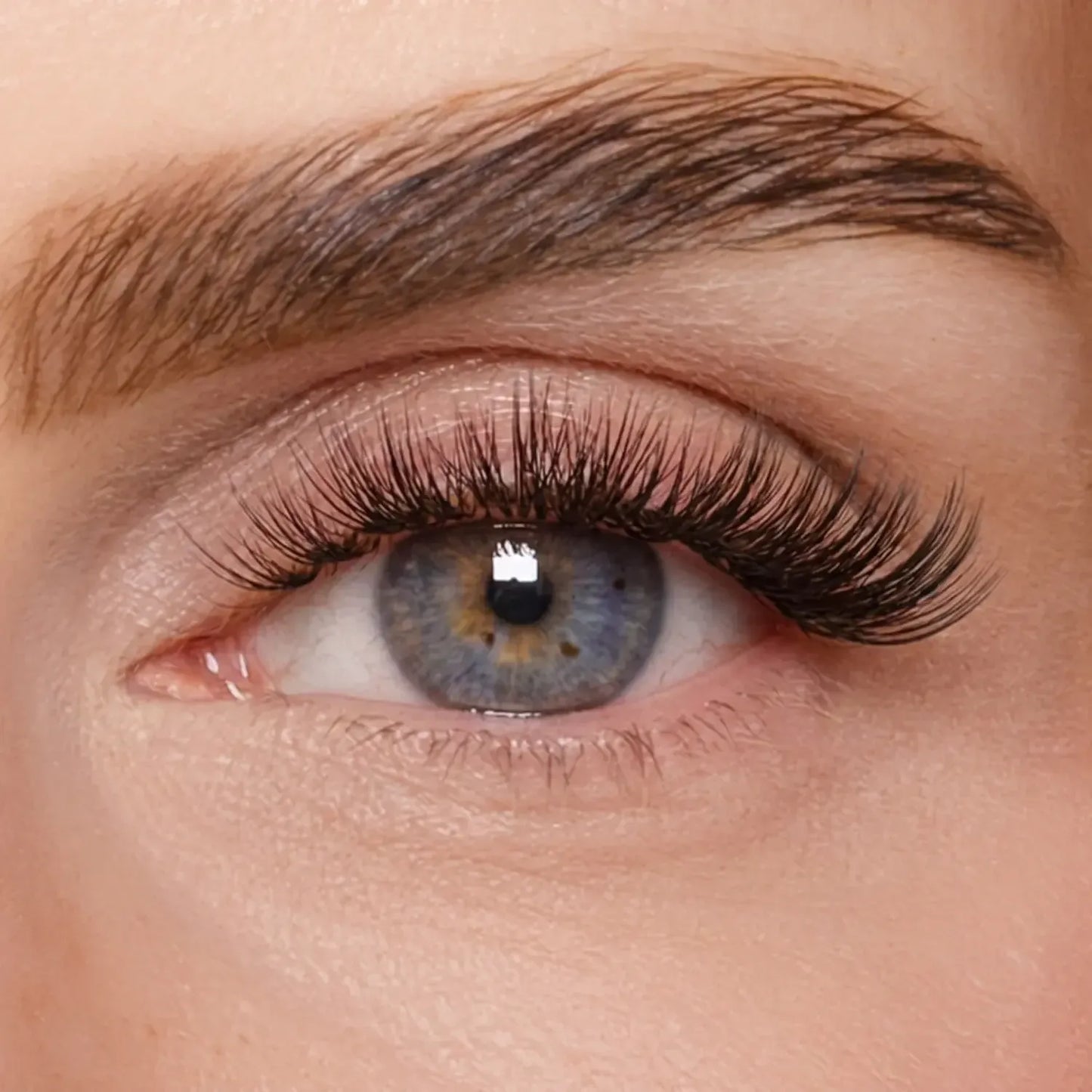 DIY Wimpernsegmente – Volume 1 (Pre-Glued 2.0)