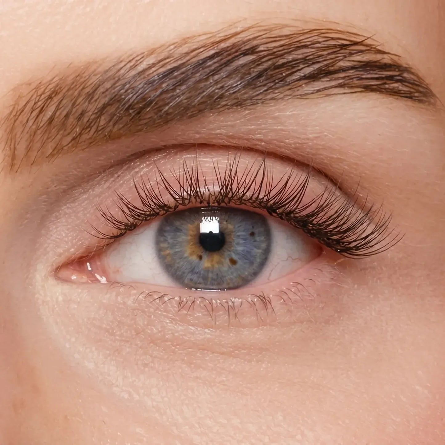 DIY Wimpernsegmente – Volume 2 (Classic DIY)