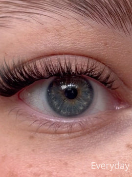 Everyday Edition - Mini Box