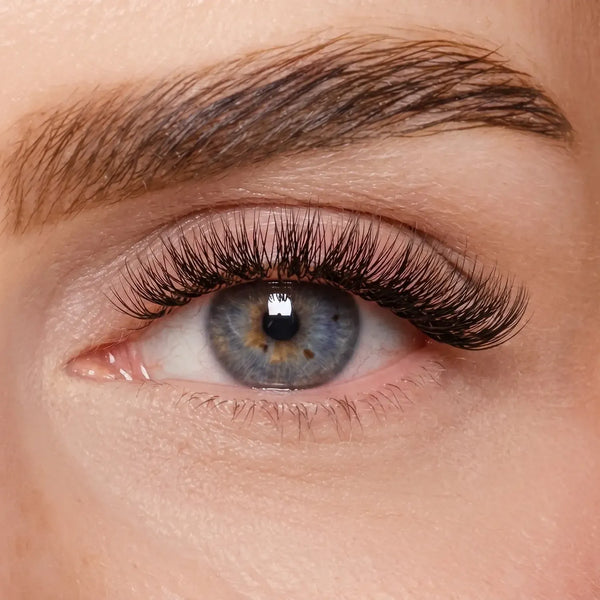 DIY Wimpernsegmente – Volume 1 (Pre-Glued 2.0)