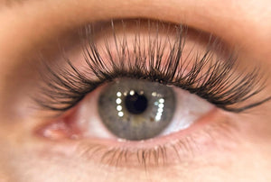 GirlGotLashes Künstliche Wimpern Flutter Fling